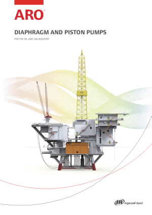 IRITS-0514-065 EUEN 0922_Pumps for Oil and Gas.pdf